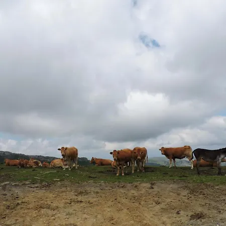 La Hirriria. Domek alpejski *
