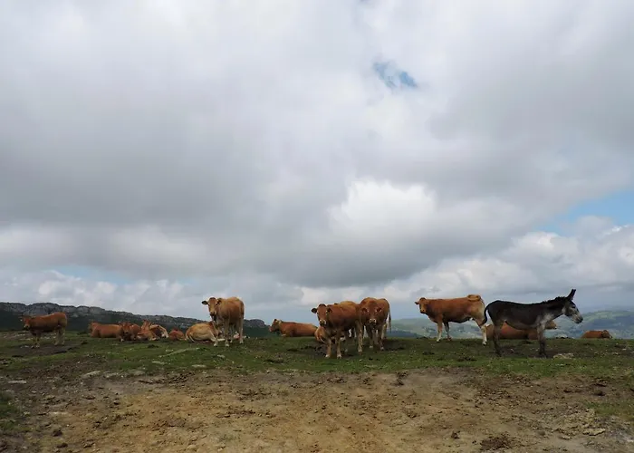 La Hirriria. Chalet *